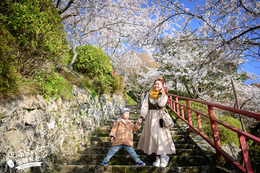 【2026海津大崎櫻花季】日本櫻花名勝100選,滋賀琵琶湖綿延四公里的湖岸櫻花,搭郵輪賞櫻花超特別!