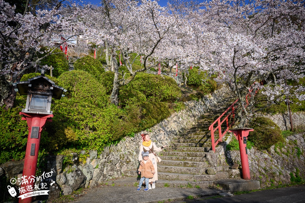 【2026海津大崎櫻花季】日本櫻花名勝100選,滋賀琵琶湖綿延四公里的湖岸櫻花,搭郵輪賞櫻花超特別!