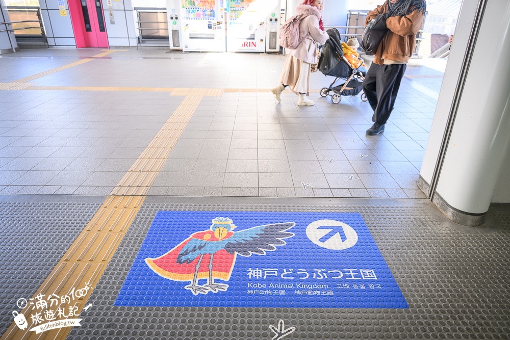 【神戶動物王國】大人小孩都瘋狂！親子推車友善溫室動物園.必體驗騎駱駝.騎馬.零距離餵食的動物天堂!