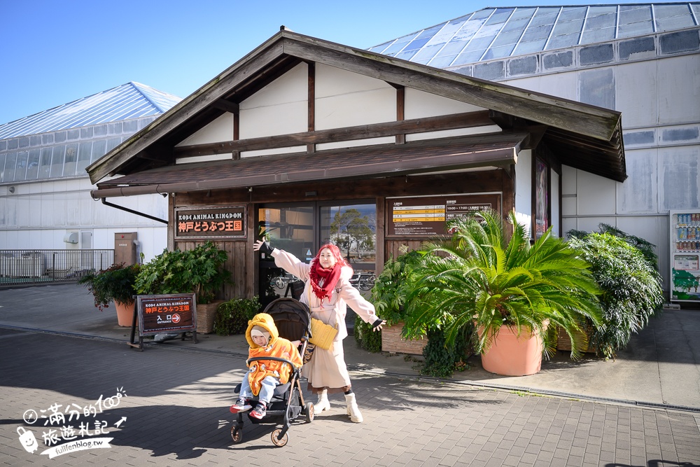 【神戶動物王國】大人小孩都瘋狂！親子推車友善溫室動物園.必體驗騎駱駝.騎馬.零距離餵食的動物天堂!
