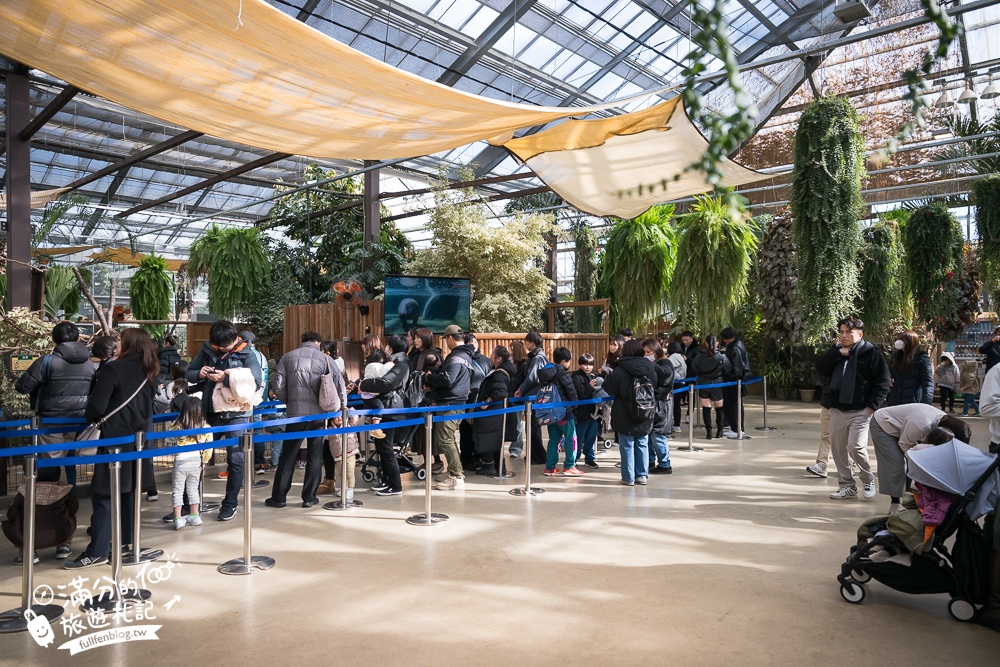 【神戶動物王國】大人小孩都瘋狂！親子推車友善溫室動物園.必體驗騎駱駝.騎馬.零距離餵食的動物天堂!
