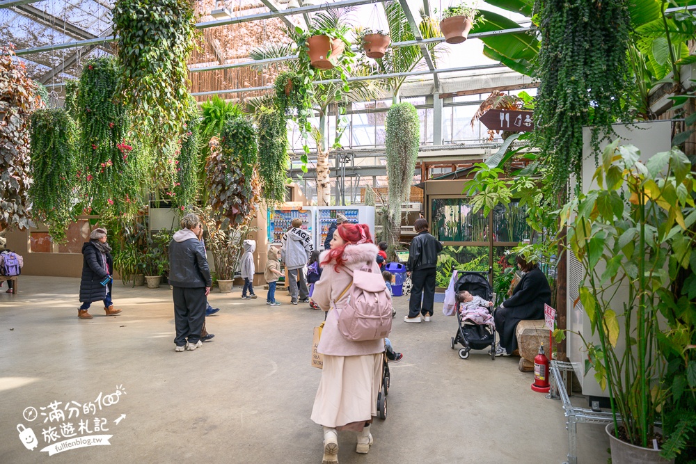 【神戶動物王國】大人小孩都瘋狂！親子推車友善溫室動物園.必體驗騎駱駝.騎馬.零距離餵食的動物天堂!