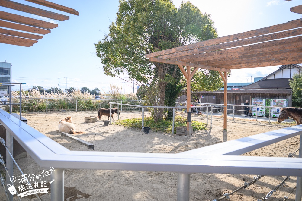 【神戶動物王國】大人小孩都瘋狂！親子推車友善溫室動物園.必體驗騎駱駝.騎馬.零距離餵食的動物天堂!