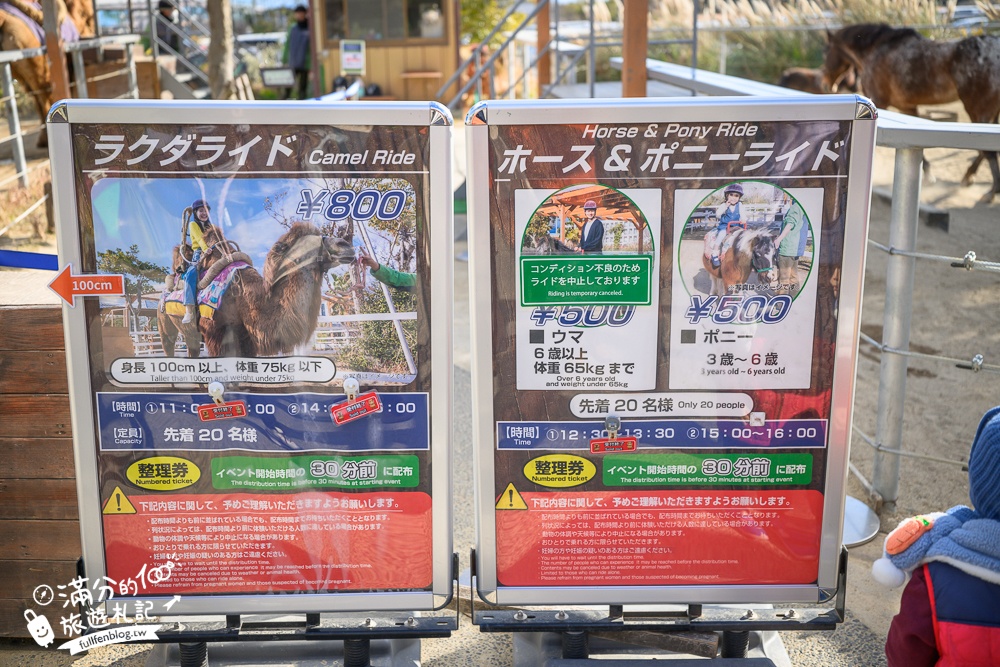 【神戶動物王國】大人小孩都瘋狂！親子推車友善溫室動物園.必體驗騎駱駝.騎馬.零距離餵食的動物天堂!