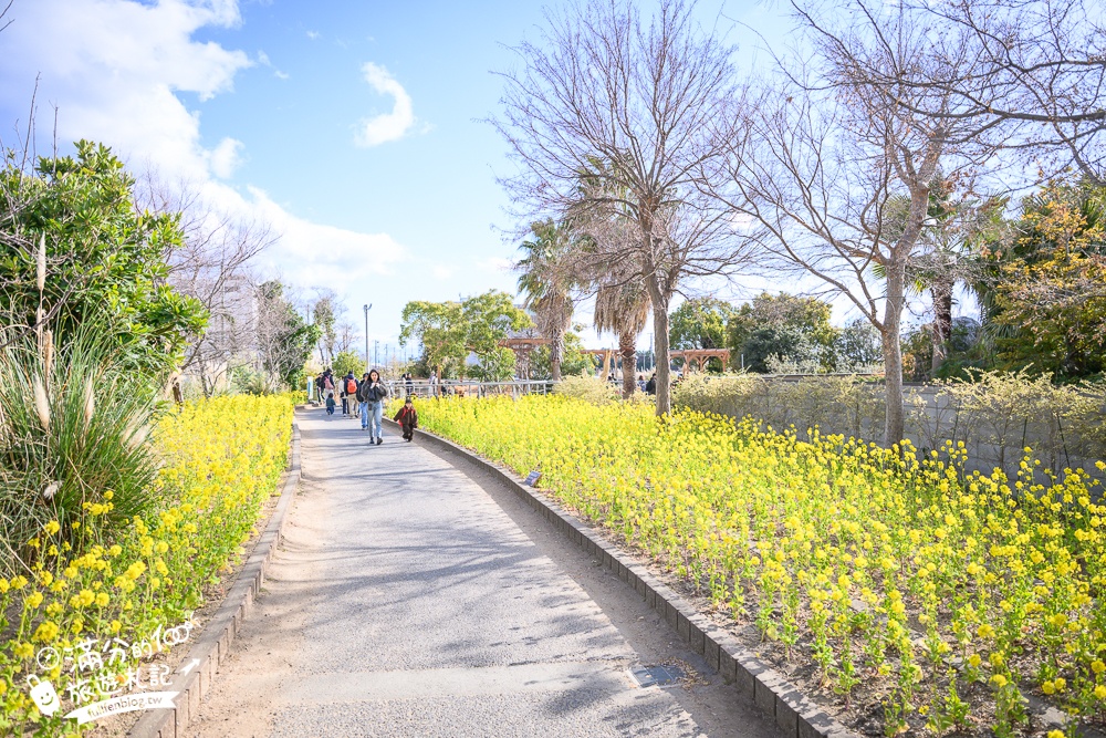 【神戶動物王國】大人小孩都瘋狂！親子推車友善溫室動物園.必體驗騎駱駝.騎馬.零距離餵食的動物天堂!