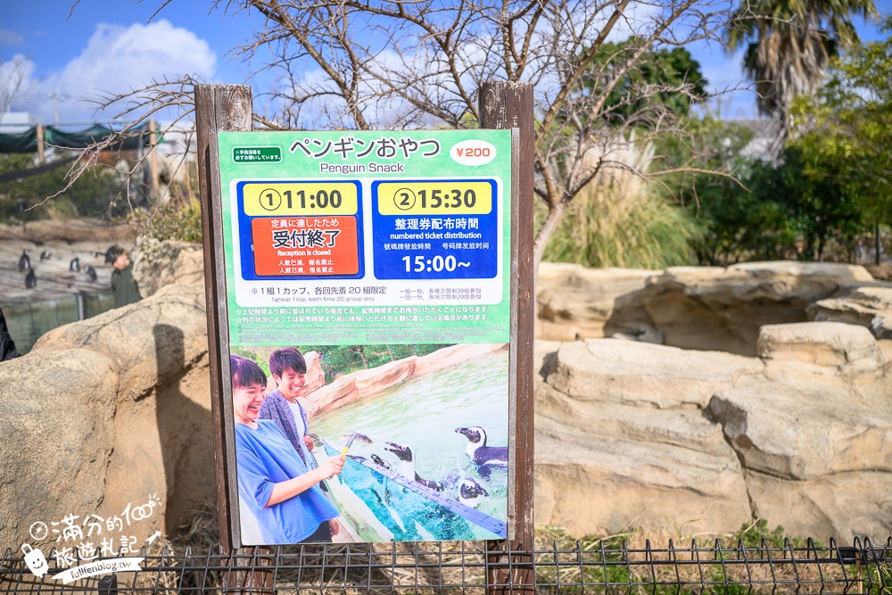 【神戶動物王國】大人小孩都瘋狂！親子推車友善溫室動物園.必體驗騎駱駝.騎馬.零距離餵食的動物天堂!