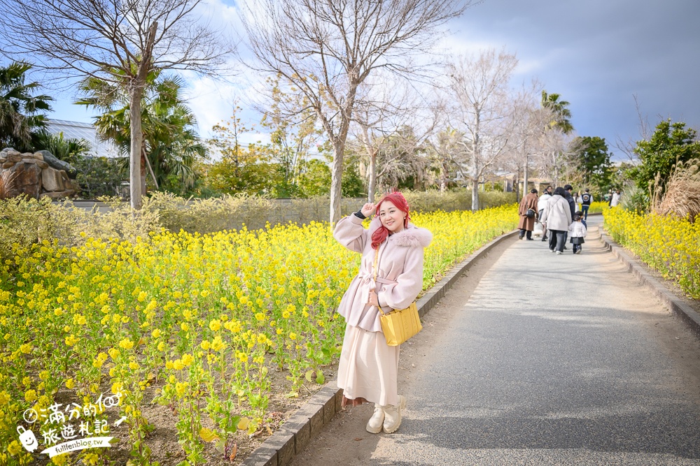 【神戶動物王國】大人小孩都瘋狂！親子推車友善溫室動物園.必體驗騎駱駝.騎馬.零距離餵食的動物天堂!