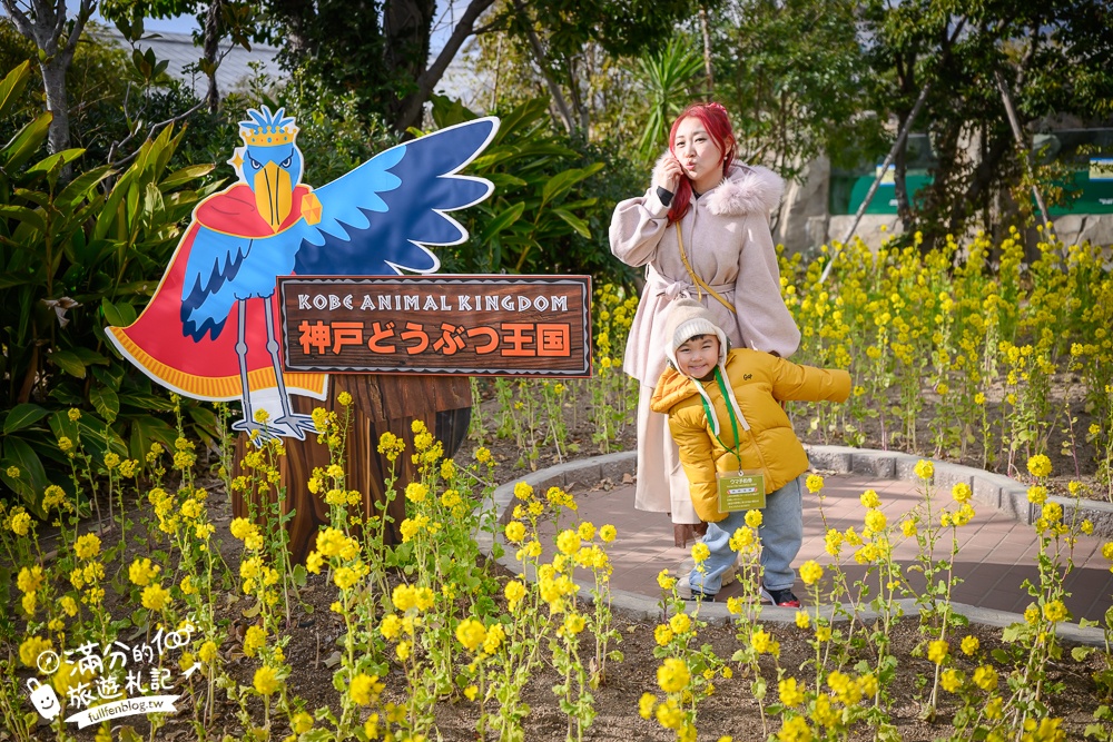【神戶動物王國】大人小孩都瘋狂！親子推車友善溫室動物園.必體驗騎駱駝.騎馬.零距離餵食的動物天堂!
