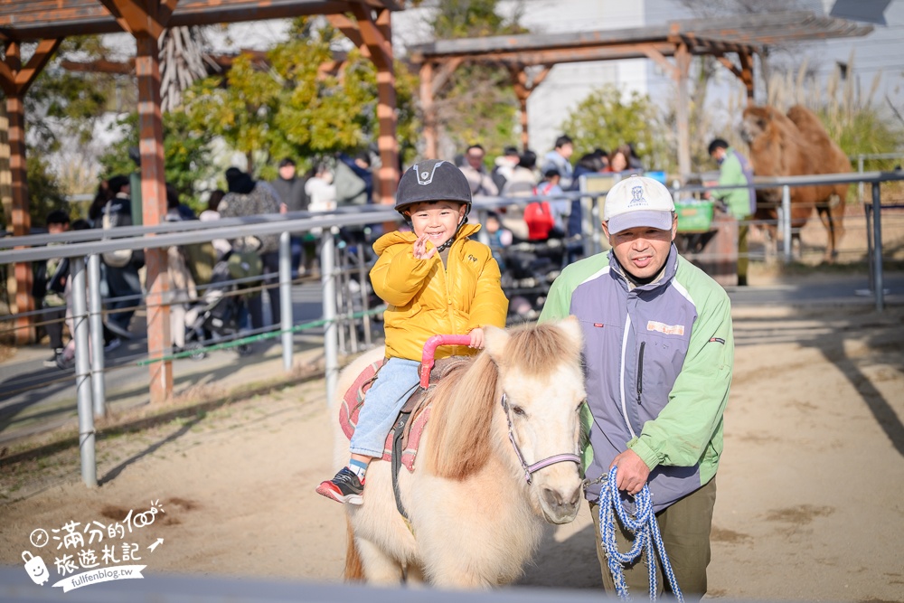 【神戶動物王國】大人小孩都瘋狂！親子推車友善溫室動物園.必體驗騎駱駝.騎馬.零距離餵食的動物天堂!