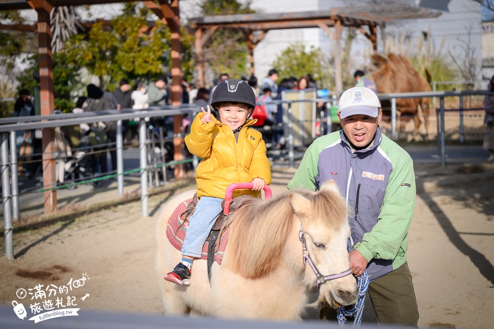 【神戶動物王國】大人小孩都瘋狂！親子推車友善溫室動物園.必體驗騎駱駝.騎馬.零距離餵食的動物天堂!
