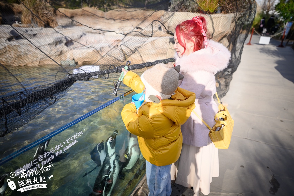 【神戶動物王國】大人小孩都瘋狂！親子推車友善溫室動物園.必體驗騎駱駝.騎馬.零距離餵食的動物天堂!