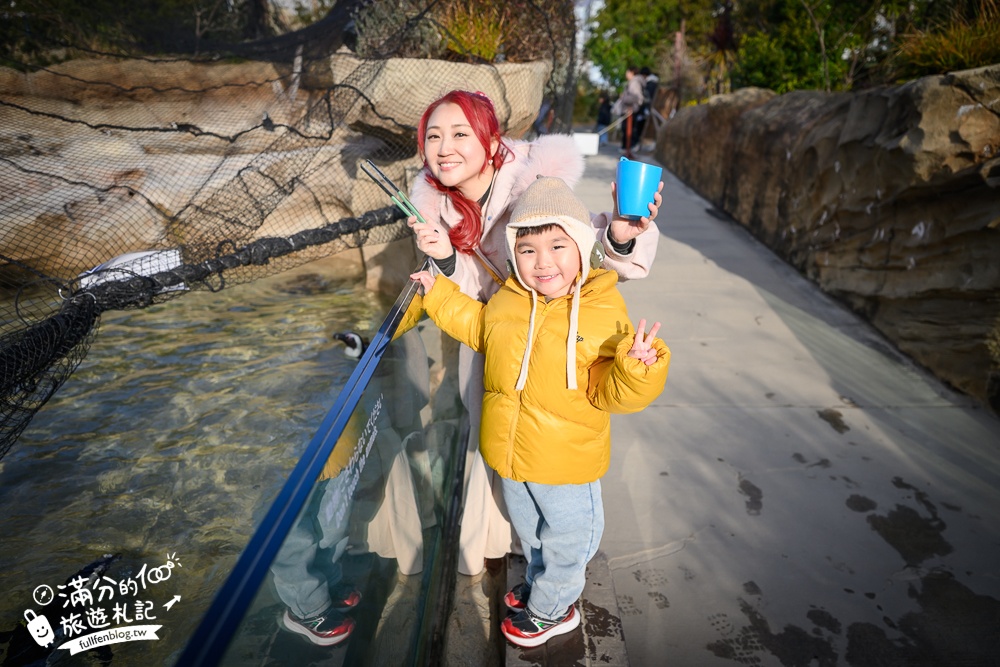 【神戶動物王國】大人小孩都瘋狂！親子推車友善溫室動物園.必體驗騎駱駝.騎馬.零距離餵食的動物天堂!