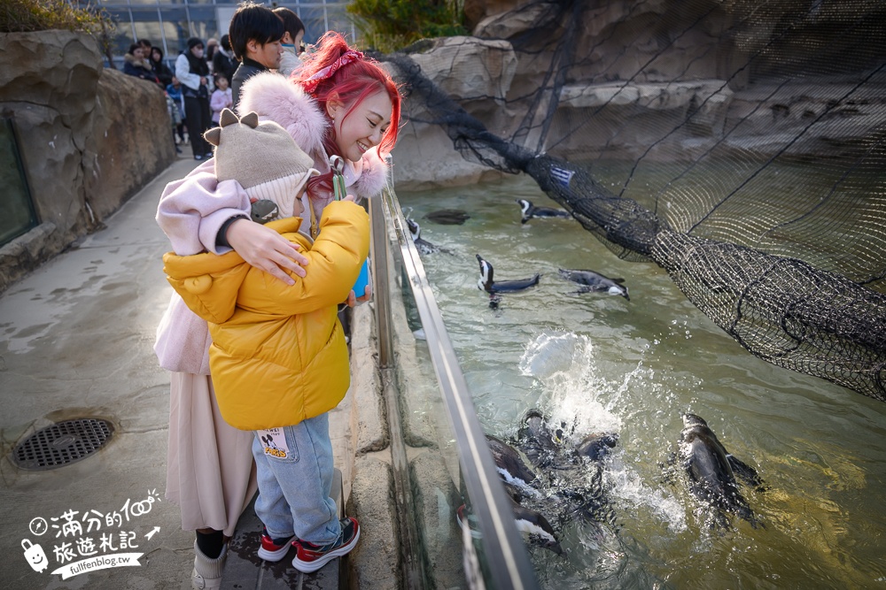 【神戶動物王國】大人小孩都瘋狂！親子推車友善溫室動物園.必體驗騎駱駝.騎馬.零距離餵食的動物天堂!