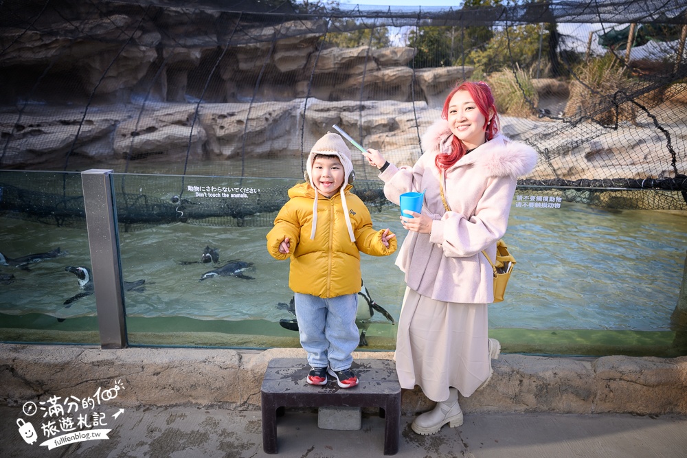 【神戶動物王國】大人小孩都瘋狂！親子推車友善溫室動物園.必體驗騎駱駝.騎馬.零距離餵食的動物天堂!