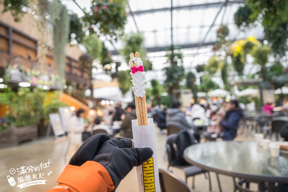 【神戶動物王國】大人小孩都瘋狂！親子推車友善溫室動物園.必體驗騎駱駝.騎馬.零距離餵食的動物天堂!