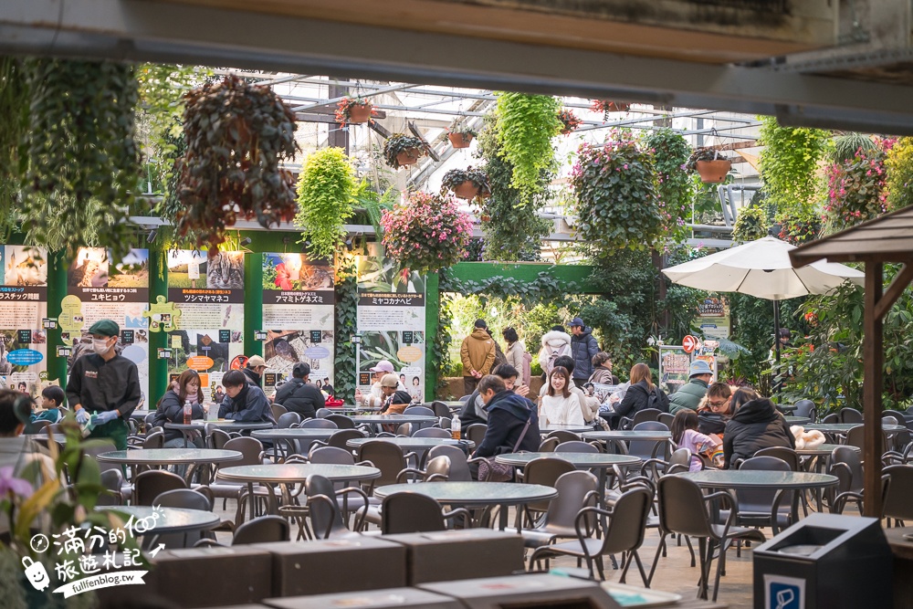 【神戶動物王國】大人小孩都瘋狂！親子推車友善溫室動物園.必體驗騎駱駝.騎馬.零距離餵食的動物天堂!