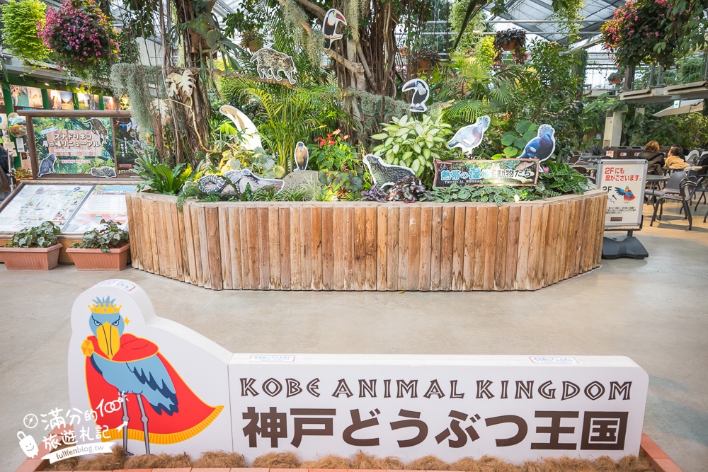 【神戶動物王國】大人小孩都瘋狂！親子推車友善溫室動物園.必體驗騎駱駝.騎馬.零距離餵食的動物天堂!