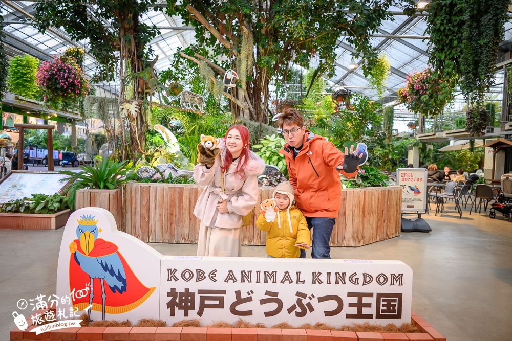 【神戶動物王國】大人小孩都瘋狂！親子推車友善溫室動物園.必體驗騎駱駝.騎馬.零距離餵食的動物天堂!