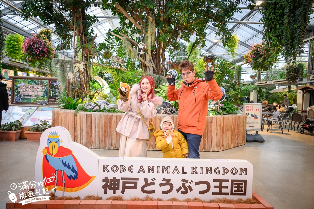 【神戶動物王國】大人小孩都瘋狂！親子推車友善溫室動物園.必體驗騎駱駝.騎馬.零距離餵食的動物天堂!