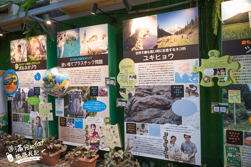 【神戶動物王國】大人小孩都瘋狂！親子推車友善溫室動物園.必體驗騎駱駝.騎馬.零距離餵食的動物天堂!
