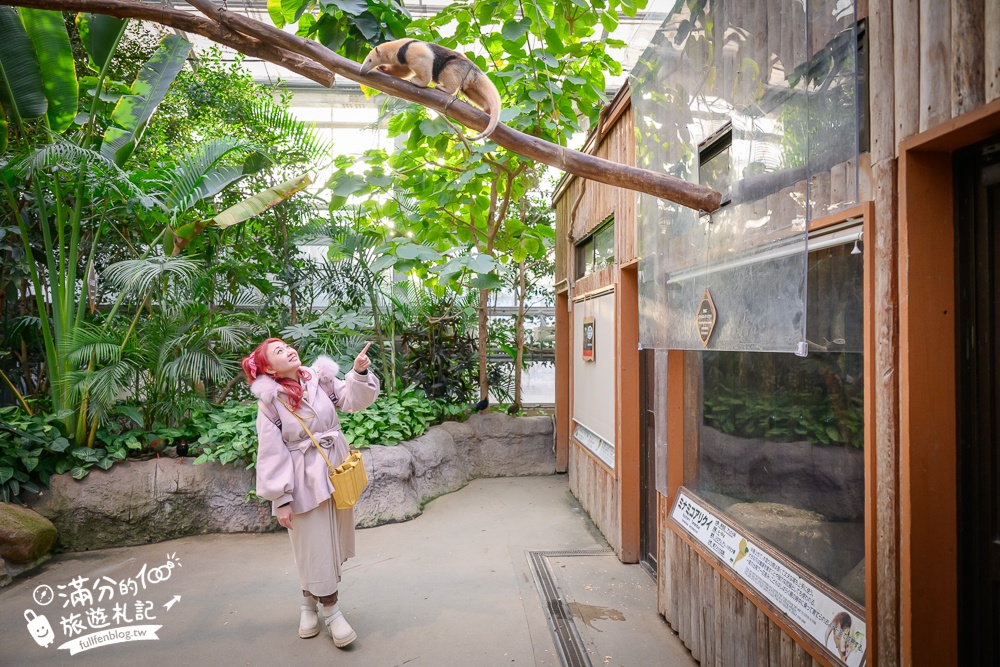 【神戶動物王國】大人小孩都瘋狂！親子推車友善溫室動物園.必體驗騎駱駝.騎馬.零距離餵食的動物天堂!
