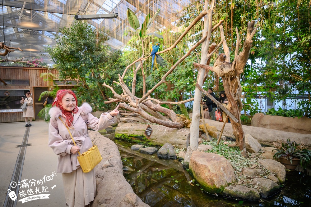 【神戶動物王國】大人小孩都瘋狂！親子推車友善溫室動物園.必體驗騎駱駝.騎馬.零距離餵食的動物天堂!