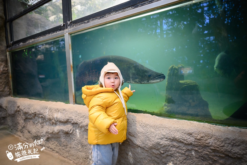 【神戶動物王國】大人小孩都瘋狂！親子推車友善溫室動物園.必體驗騎駱駝.騎馬.零距離餵食的動物天堂!