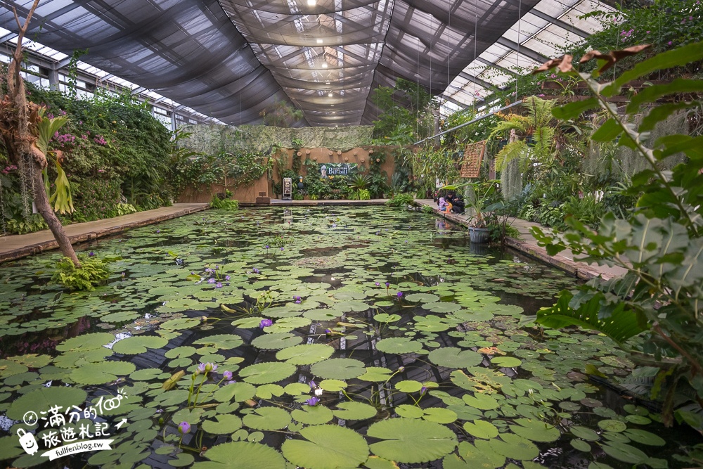 【神戶動物王國】大人小孩都瘋狂！親子推車友善溫室動物園.必體驗騎駱駝.騎馬.零距離餵食的動物天堂!