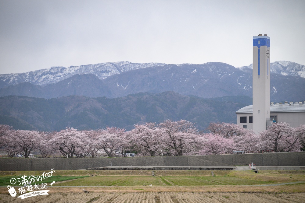 期間限定！朝日町「春の四重奏」交通教學,一次收集四種春色，帶你拍出夢幻美景大片!