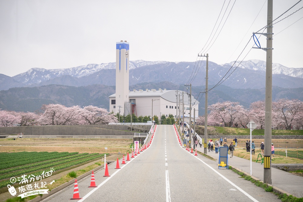 期間限定！朝日町「春の四重奏」交通教學,一次收集四種春色，帶你拍出夢幻美景大片!
