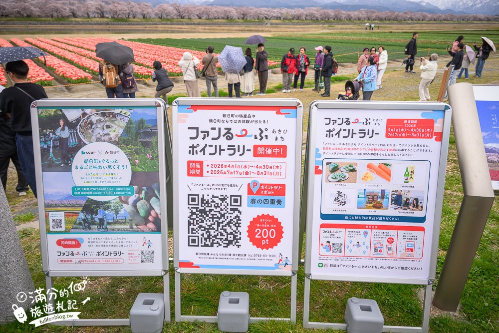 期間限定！朝日町「春の四重奏」交通教學,一次收集四種春色，帶你拍出夢幻美景大片!