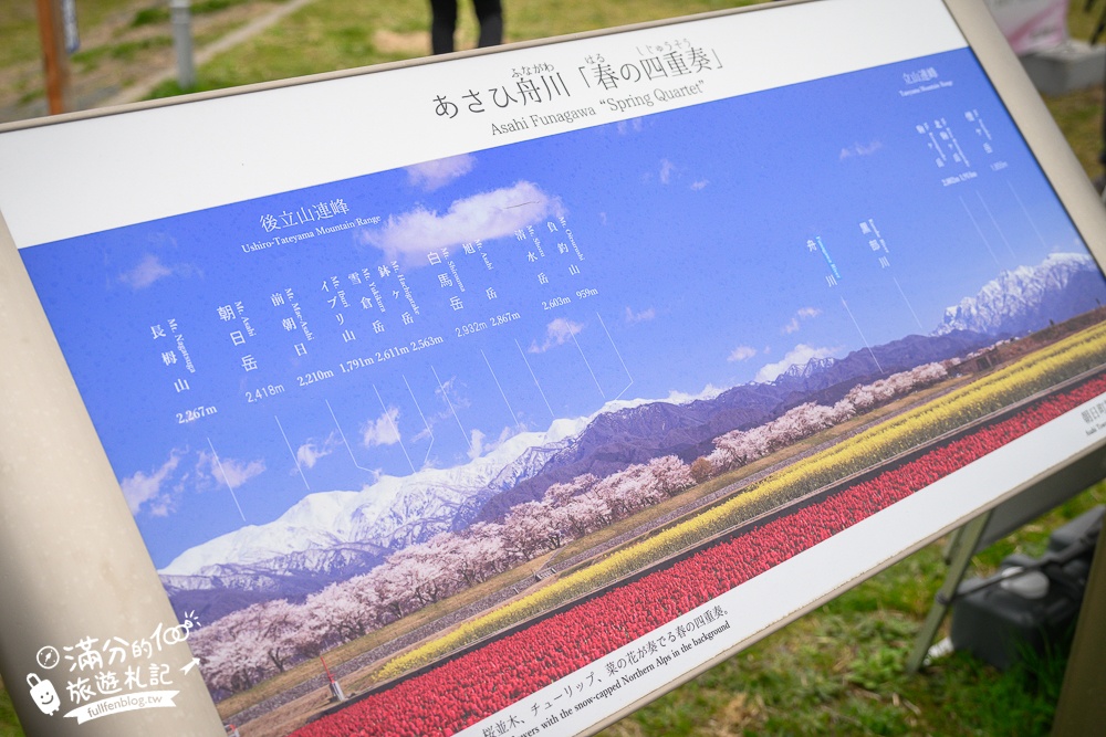 期間限定！朝日町「春の四重奏」交通教學,一次收集四種春色，帶你拍出夢幻美景大片!