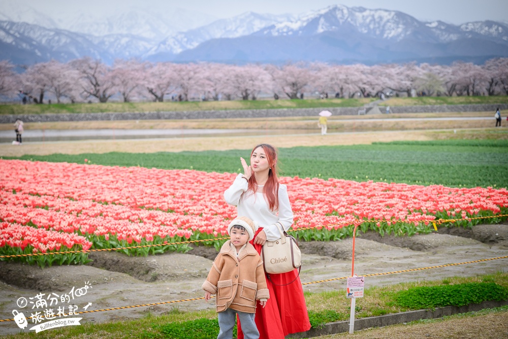 期間限定！朝日町「春の四重奏」交通教學,一次收集四種春色，帶你拍出夢幻美景大片!