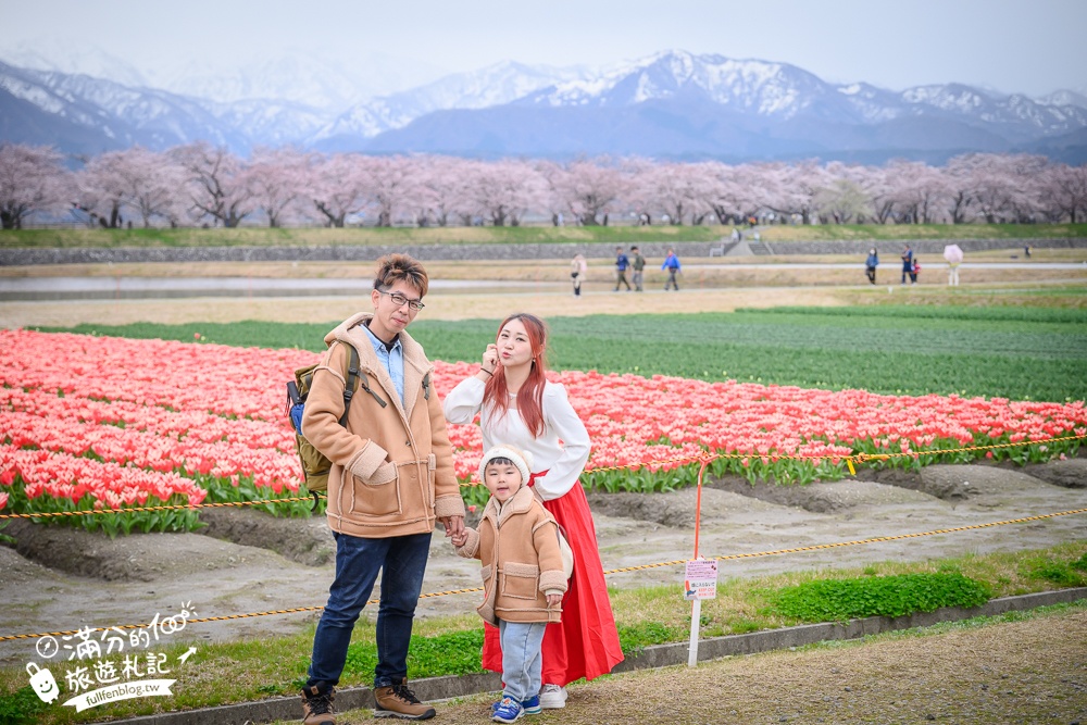 期間限定！朝日町「春の四重奏」交通教學,一次收集四種春色，帶你拍出夢幻美景大片!
