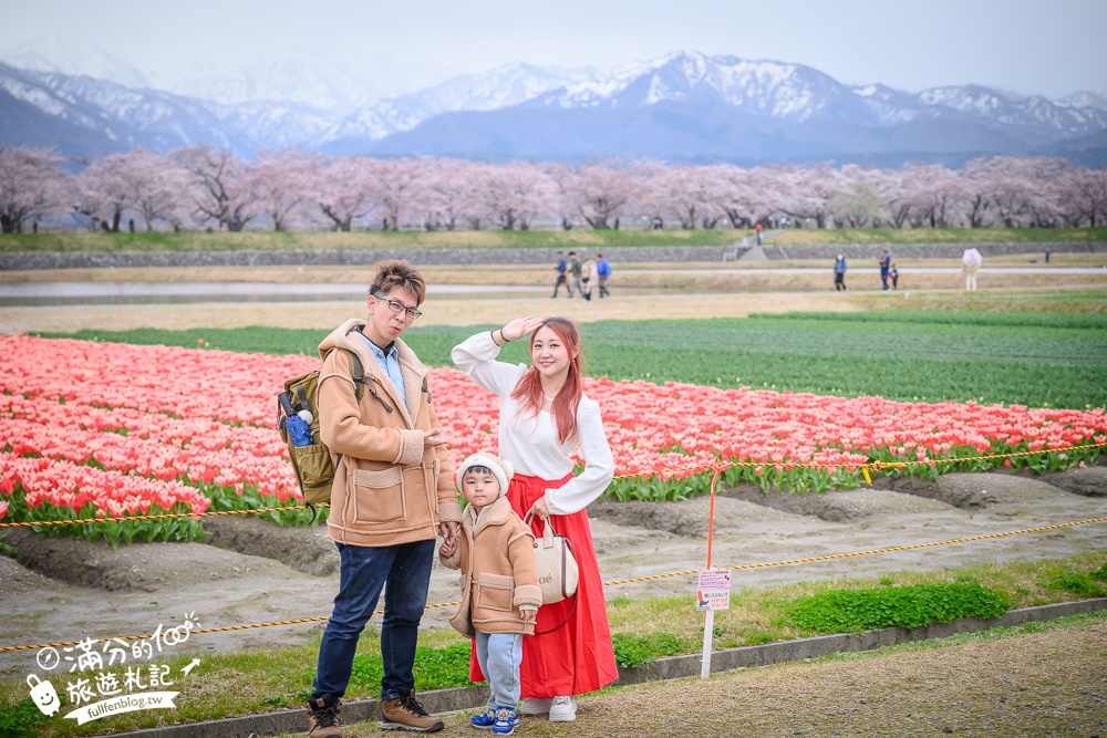 期間限定！朝日町「春の四重奏」交通教學,一次收集四種春色，帶你拍出夢幻美景大片!