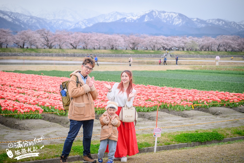 期間限定！朝日町「春の四重奏」交通教學,一次收集四種春色，帶你拍出夢幻美景大片!