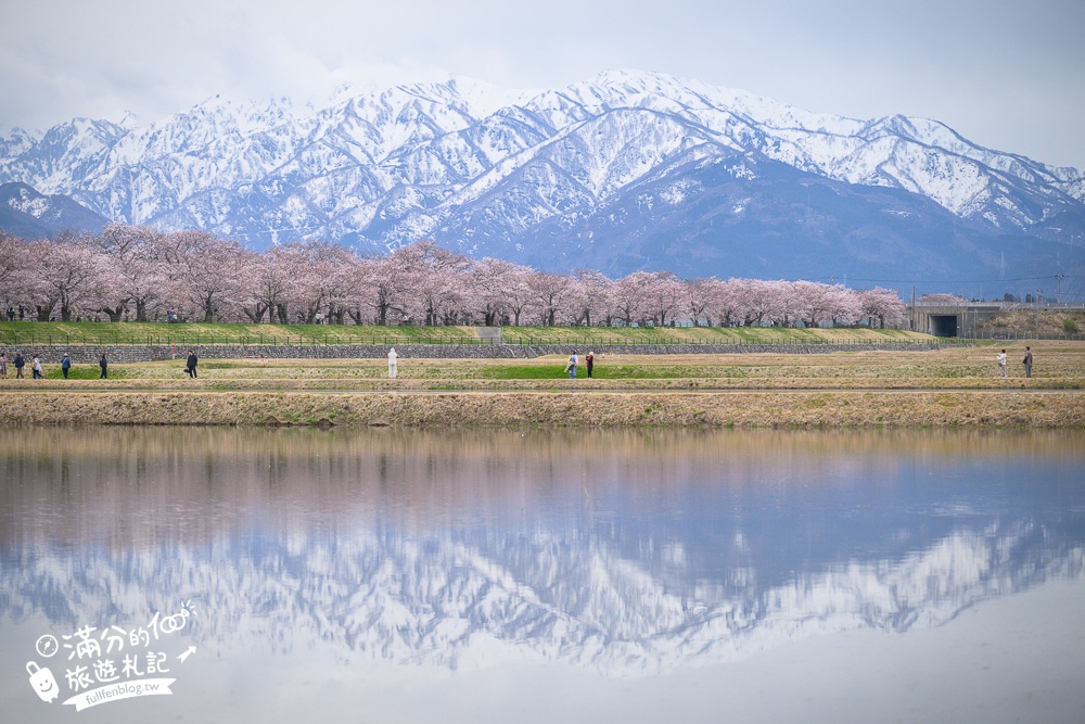 期間限定！朝日町「春の四重奏」交通教學,一次收集四種春色，帶你拍出夢幻美景大片!