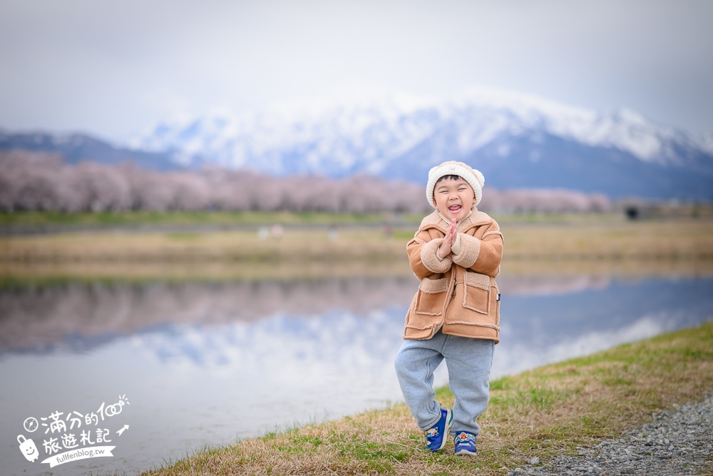 期間限定！朝日町「春の四重奏」交通教學,一次收集四種春色，帶你拍出夢幻美景大片!