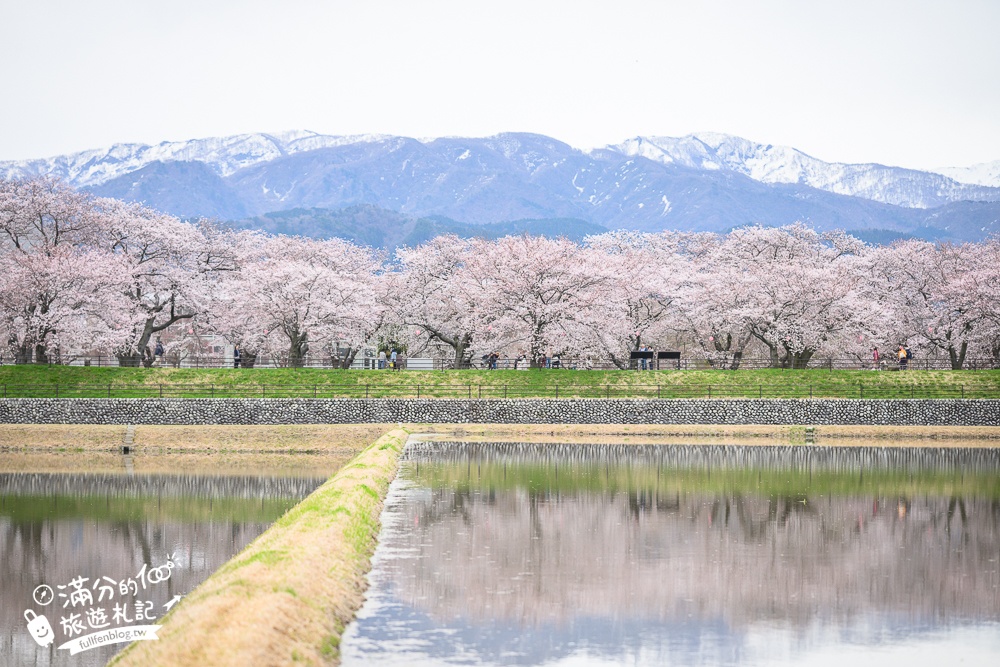 期間限定！朝日町「春の四重奏」交通教學,一次收集四種春色，帶你拍出夢幻美景大片!