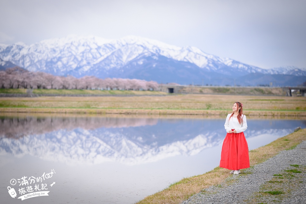 期間限定！朝日町「春の四重奏」交通教學,一次收集四種春色，帶你拍出夢幻美景大片!