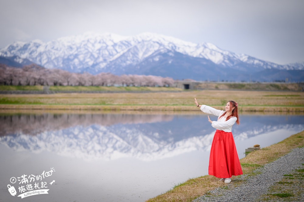 期間限定！朝日町「春の四重奏」交通教學,一次收集四種春色，帶你拍出夢幻美景大片!