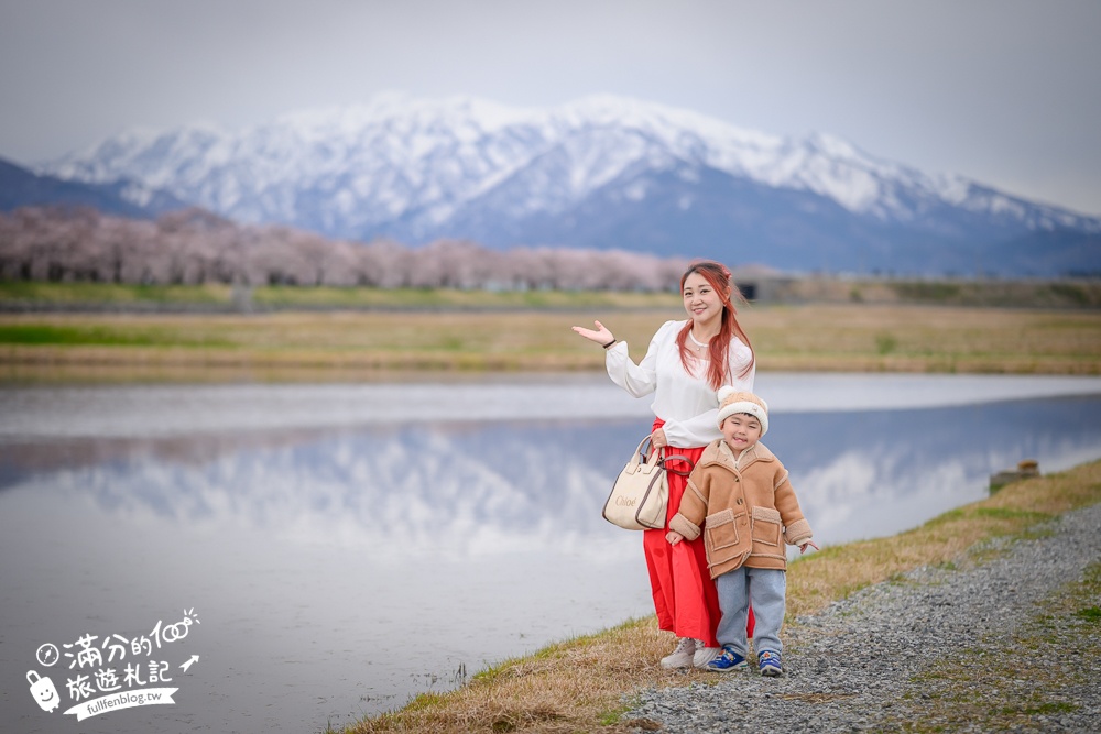 期間限定！朝日町「春の四重奏」交通教學,一次收集四種春色，帶你拍出夢幻美景大片!