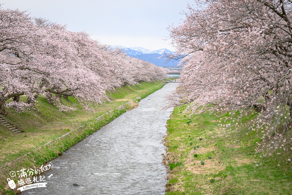 期間限定！朝日町「春の四重奏」交通教學,一次收集四種春色，帶你拍出夢幻美景大片!