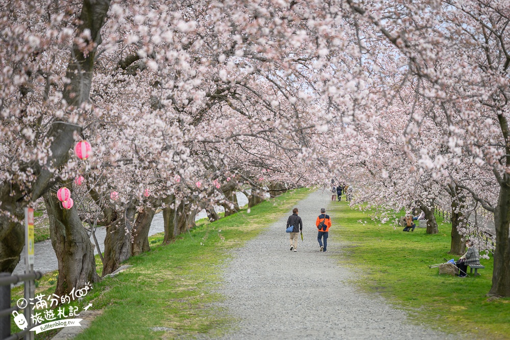 期間限定！朝日町「春の四重奏」交通教學,一次收集四種春色，帶你拍出夢幻美景大片!