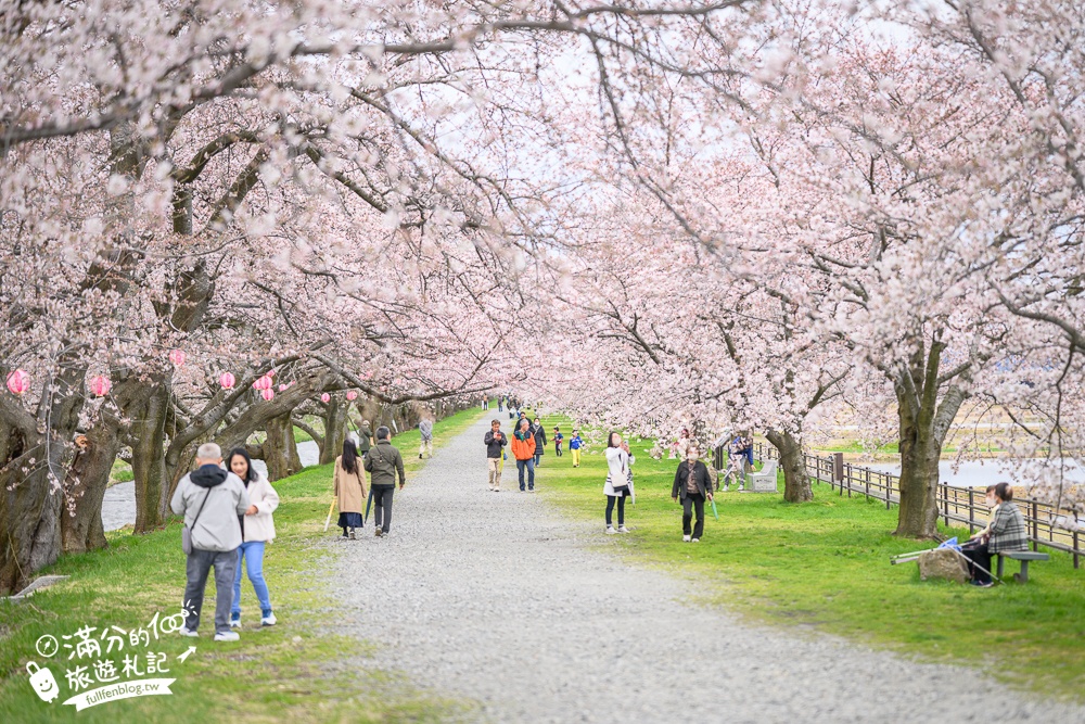 期間限定！朝日町「春の四重奏」交通教學,一次收集四種春色，帶你拍出夢幻美景大片!