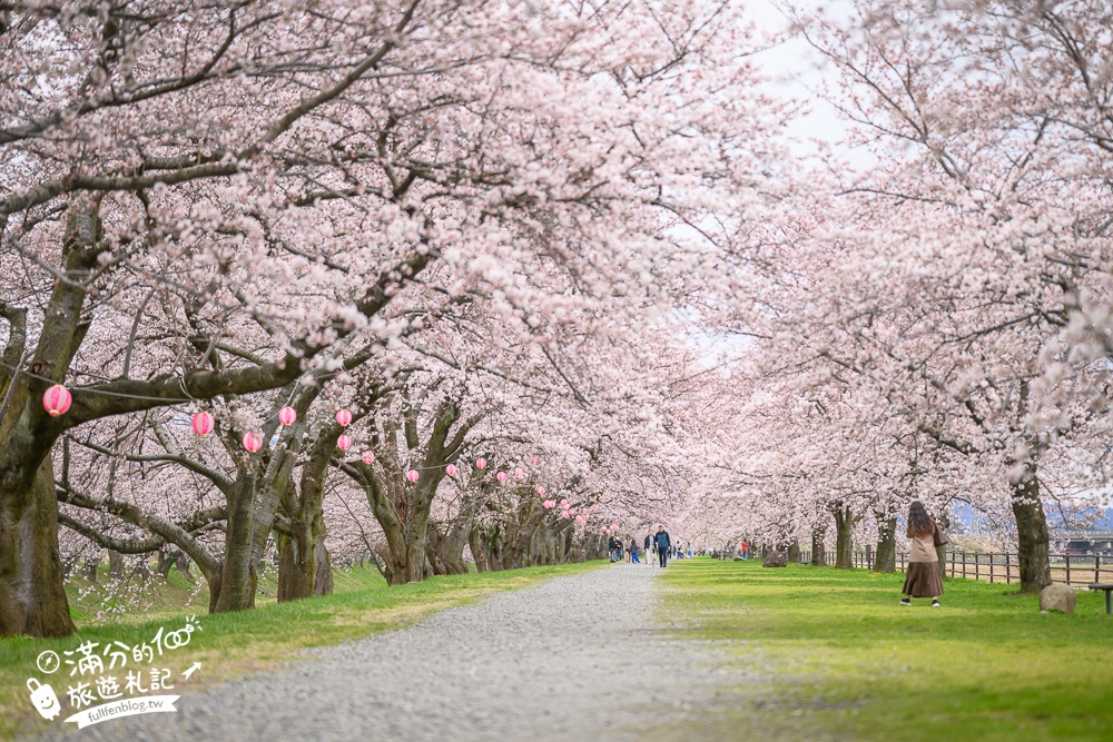 期間限定！朝日町「春の四重奏」交通教學,一次收集四種春色，帶你拍出夢幻美景大片!