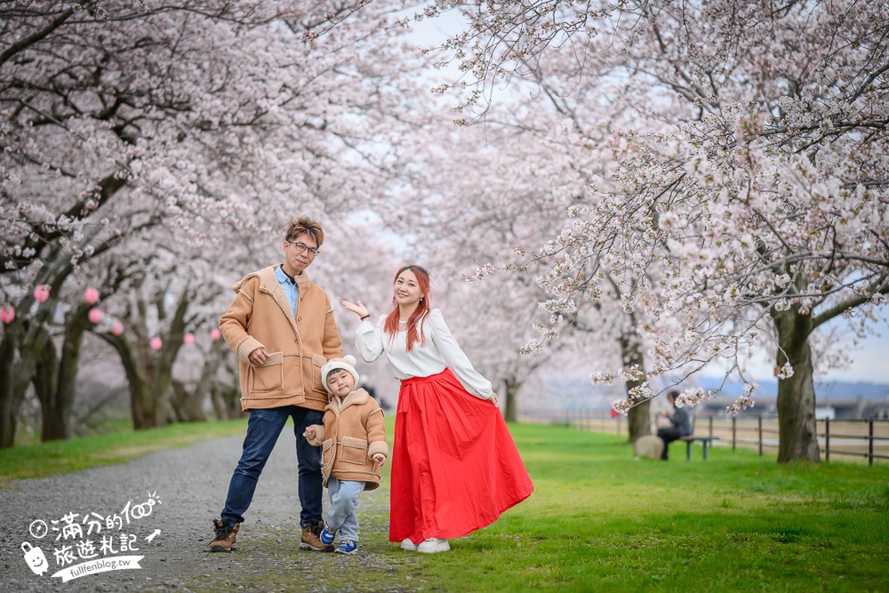 期間限定！朝日町「春の四重奏」交通教學,一次收集四種春色，帶你拍出夢幻美景大片!