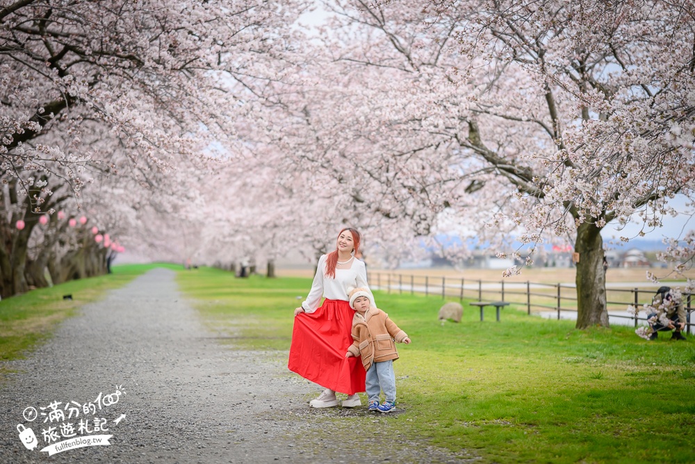 期間限定！朝日町「春の四重奏」交通教學,一次收集四種春色，帶你拍出夢幻美景大片!