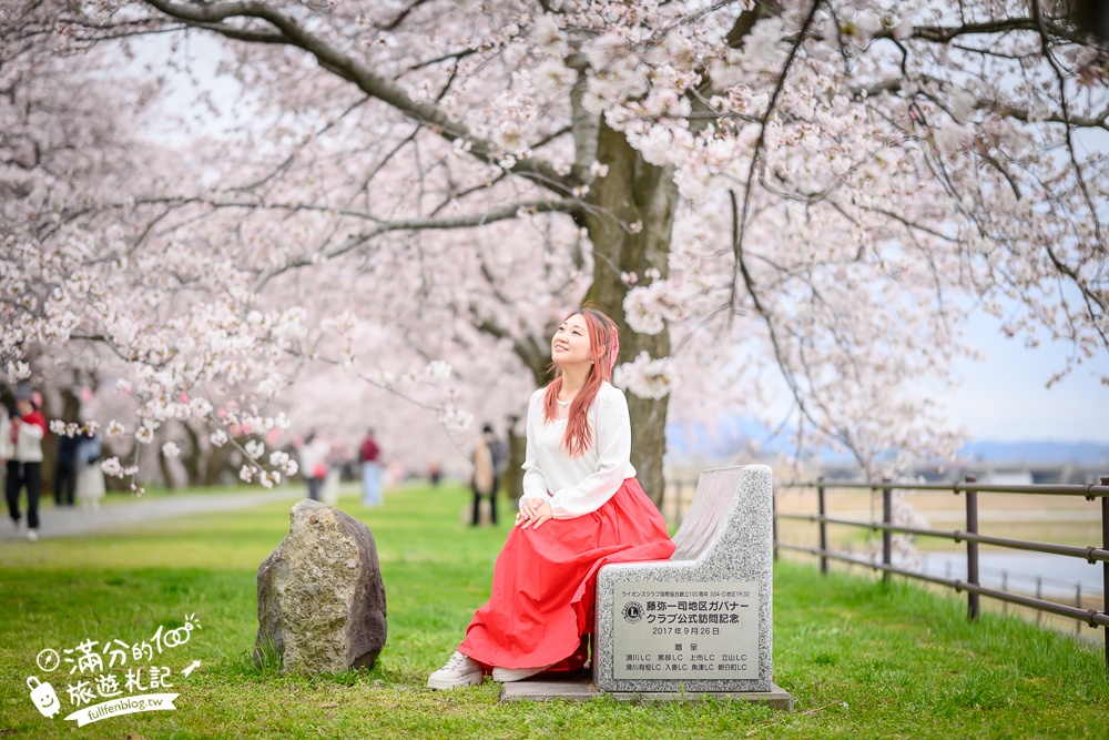 期間限定！朝日町「春の四重奏」交通教學,一次收集四種春色，帶你拍出夢幻美景大片!