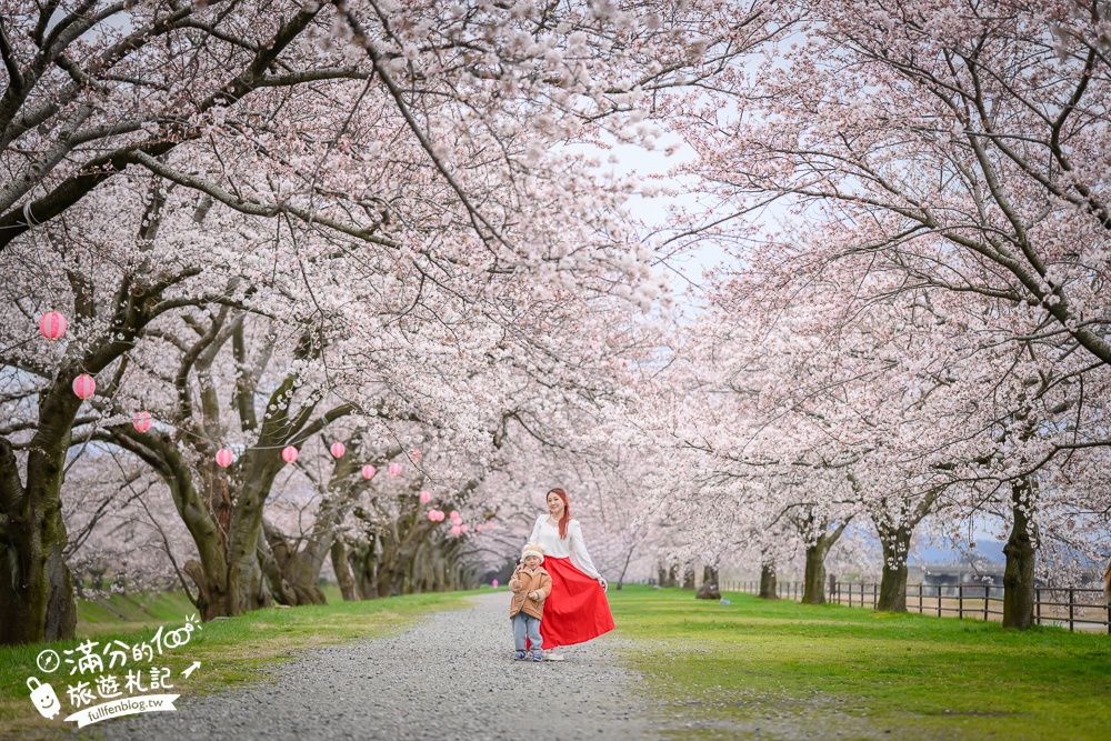 期間限定！朝日町「春の四重奏」交通教學,一次收集四種春色，帶你拍出夢幻美景大片!
